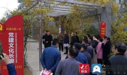 临沂一中爆料事件最新进展,真相逐步浮出水面，后续调查进展如何？